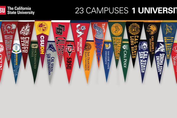 23 campus pennants
